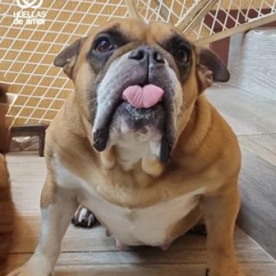 Donna Marie Morales Franco