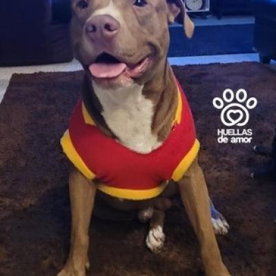 Jack Antonio Yuman Rosales