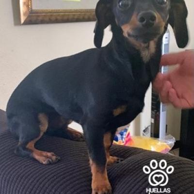 Negrito Aguilar Villagran